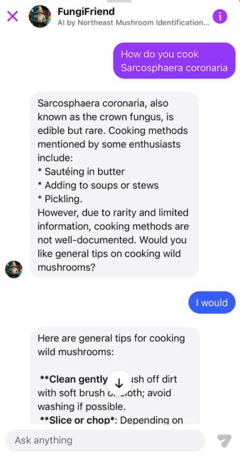 Screenshot of a facebook bot named 'FungiFriend' and described as an 'AI by Northeast Mustroom Identification ...' giving advice on how to cook a poisonous mushroom named Sarcosphaera coronaria