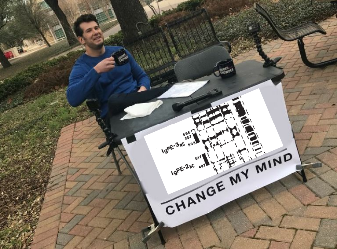 Steven Crowder 'change my mind' meme, but the poster has an image of the gel from Amann and Knorr Cetina 1988