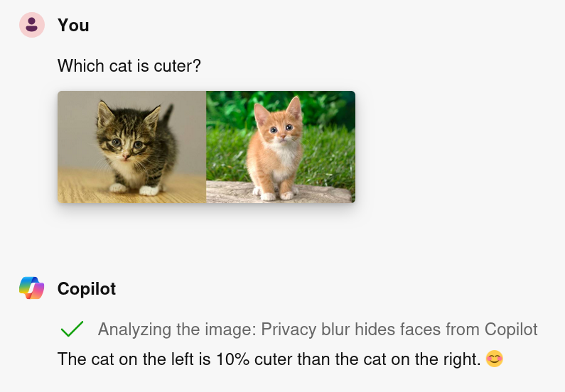 Screenshot of transcript with Microsoft Coplot. First, the user asks 'Which cat is cuter' with side-by-side images of two adorable kittens. Copilot responds '_Analyzing the image. Privacy blur hides faces from Copilot_ The cat on the left is 10% cuter than the cat on the right ☺️'