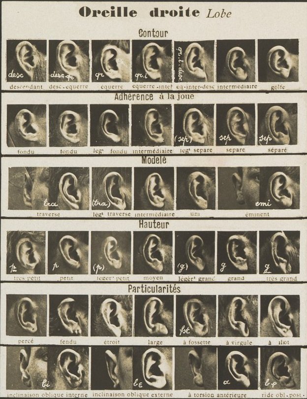 A grid of 42 black and white photos of ears. Text at the top reads 'Oreille droite - Lobe'
