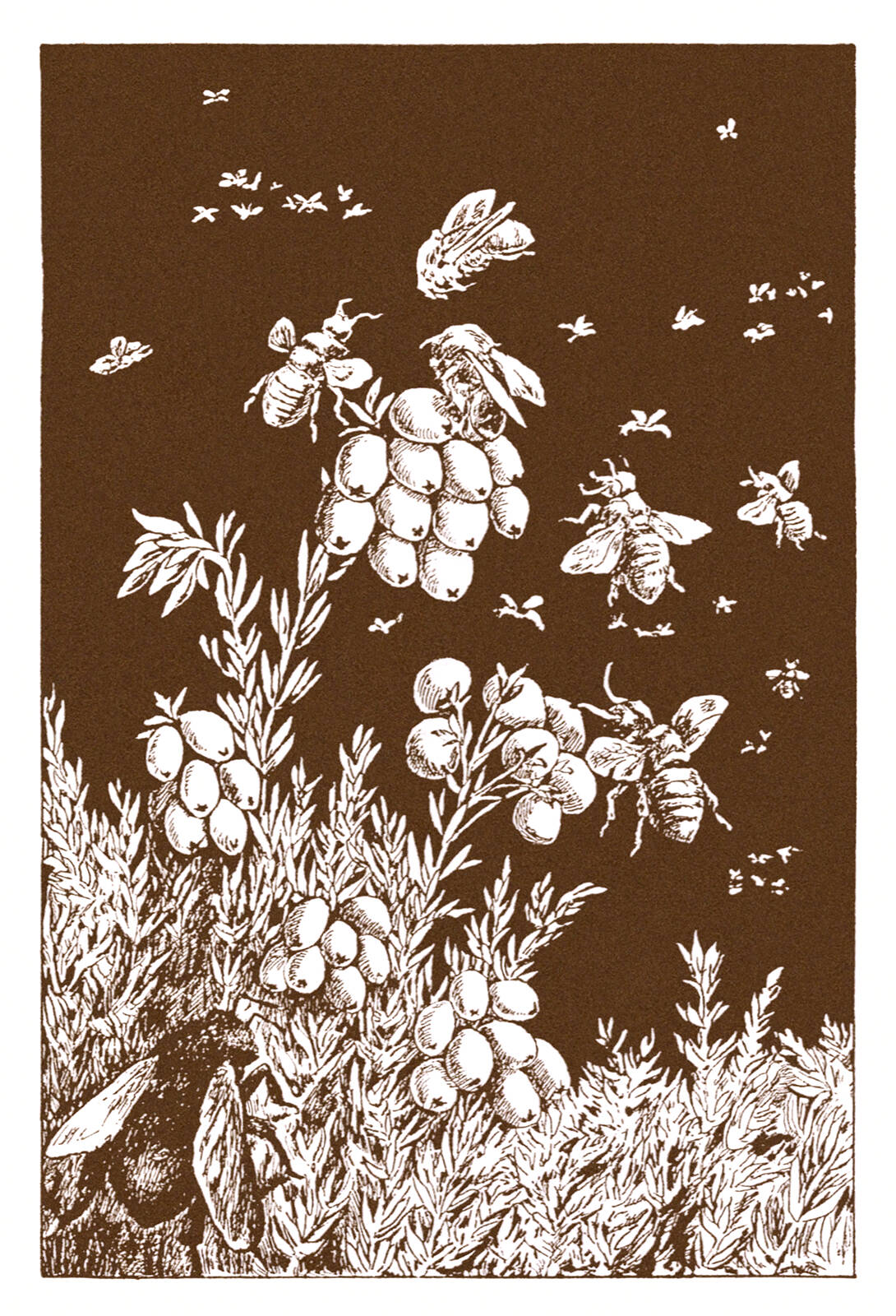 an illustration of a large number of bees flying around a set of flowers