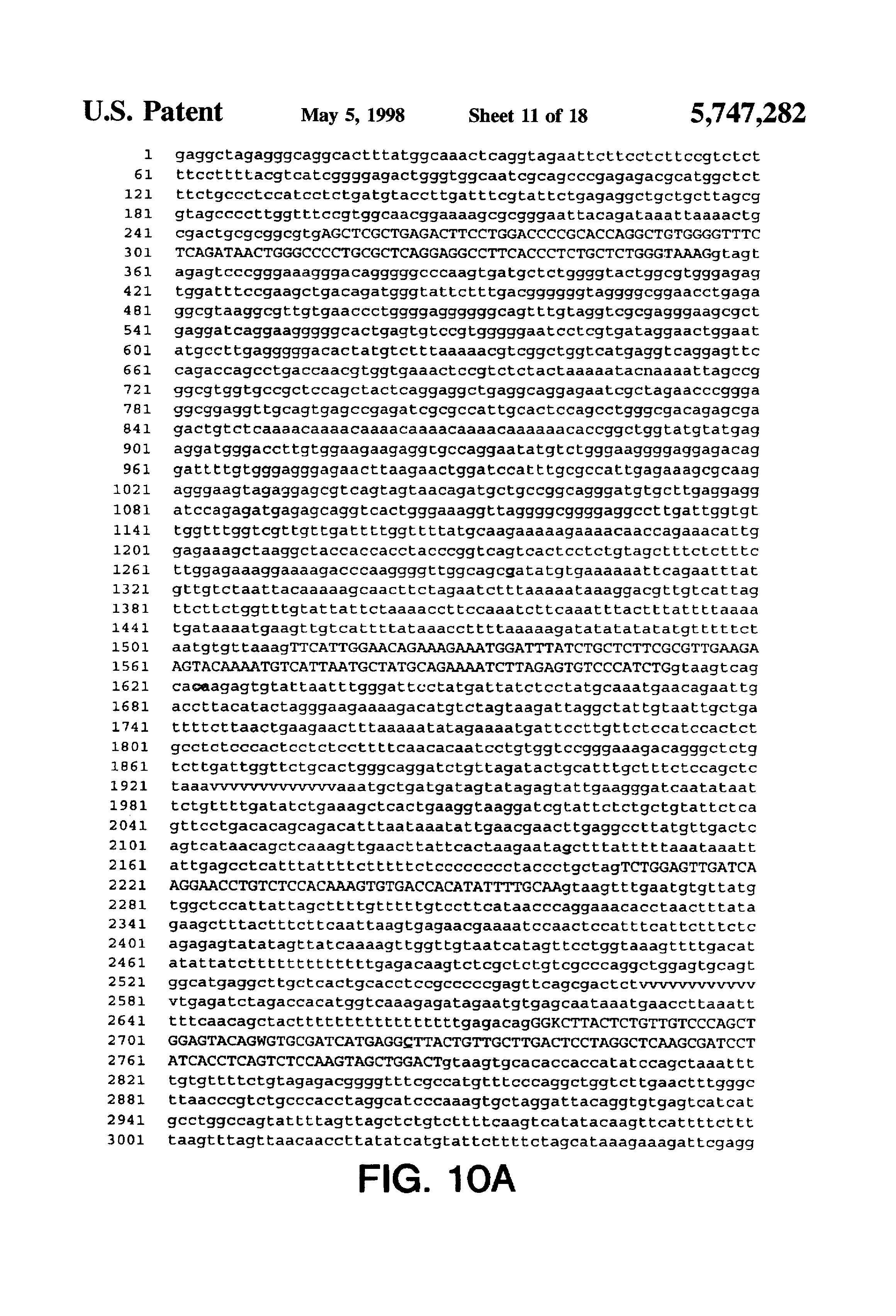 Scanned page from a patent, dated May 5, 1998 displaying a full-page figure with a long genetic sequence expressed as a series of letters 'a', 'g', 't', and 'c'